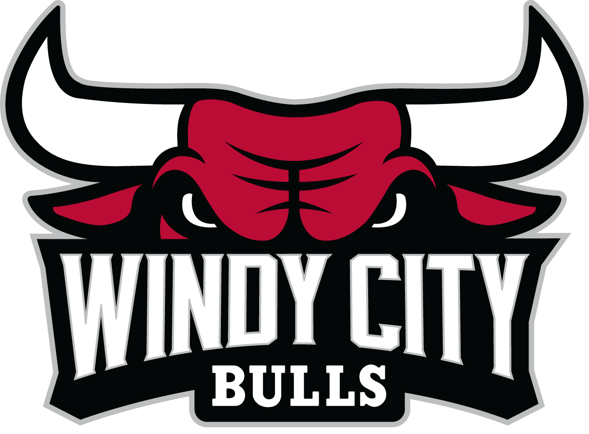 Windy City Bulls 2016-Pres Primary Logo iron on transfers for clothing